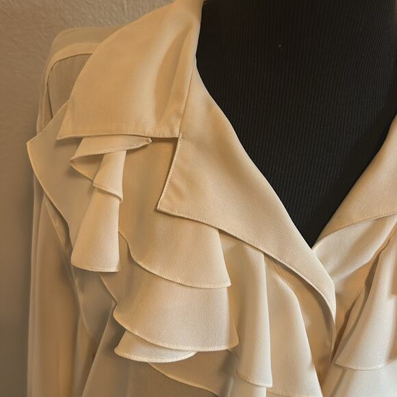 Vintage Rafaella Ruffle Blouse Sz 14 Quiet Luxury Old Money Unique Collar - Picture 2 of 7